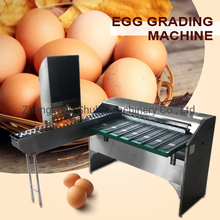 Hot Sell Egg Grading Sorting Machine Egg Grader with High Efficiency on Sale