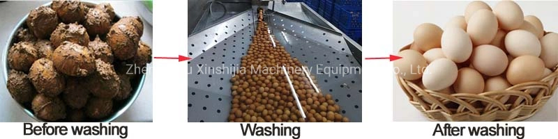 Big Capacity Commercial Stainless Steel Automatic Poultry Chicken Goose Salted Duck Egg Cleaner