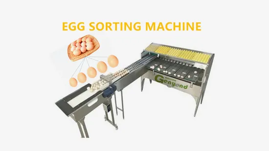 Automatic Egg Sorting Grading Machinery Chicken Egg Sorting Sorter Grader Weighing Machine