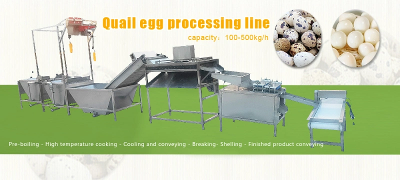 Durable Quail Egg Boiling and Peeling Production Line Automatic Quail Egg Production Line