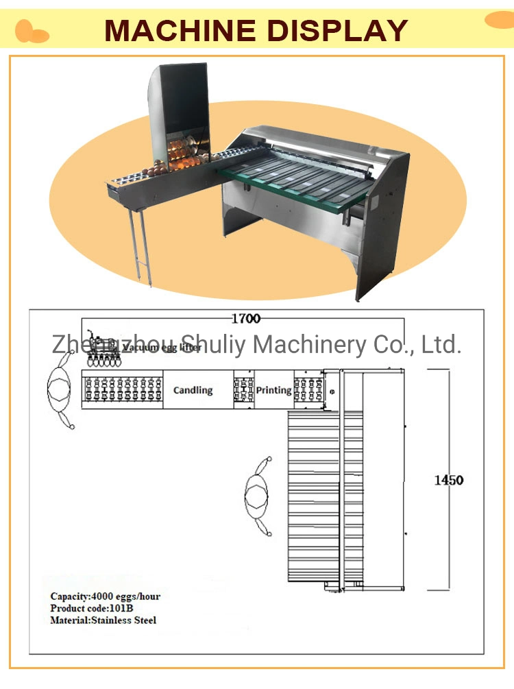 High Quality Egg Grader Egg Grading Machine Egg Sorting Machine