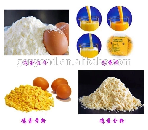 Egg Powder Small Production Machinery