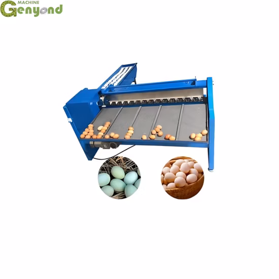 Automatic Egg Sorting Grading Machinery Chicken Egg Sorting Sorter Grader Weighing Machine