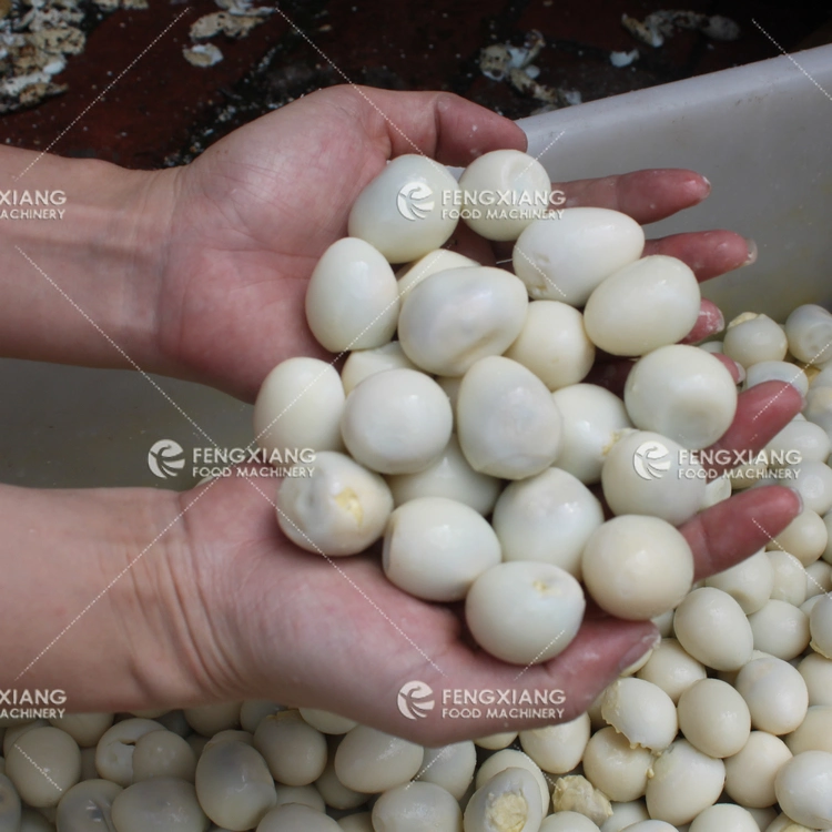 Automatic Quail Eggs Peeling Machine