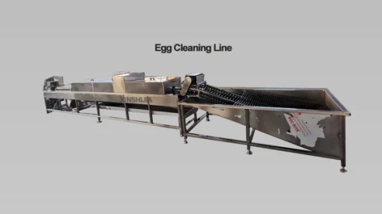 家禽、鶏、ガチョウ、塩アヒルの卵用の業務用自動ステンレス製卵選別機