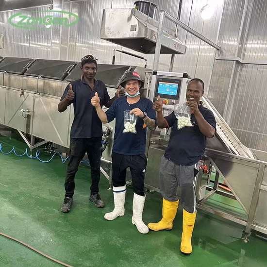 自動うずら卵むき機、うずらゆで卵用うずら卵むき機