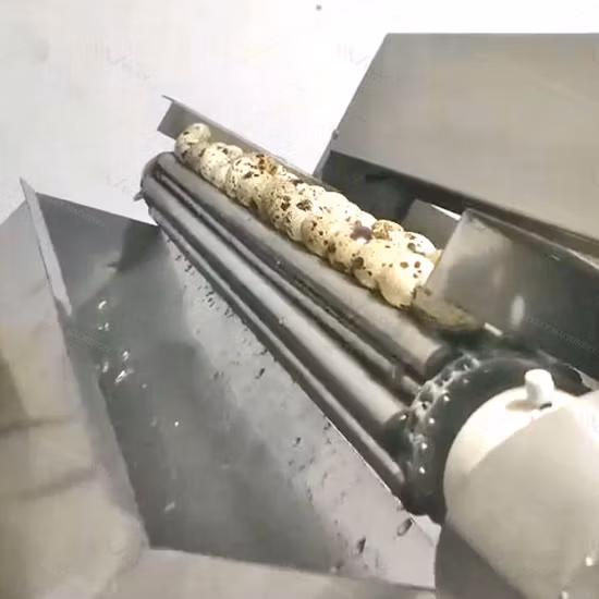 ウズラの卵を処理する大規模なライン。 うずらのゆで卵をむくライン うずらの卵の調理とむき方