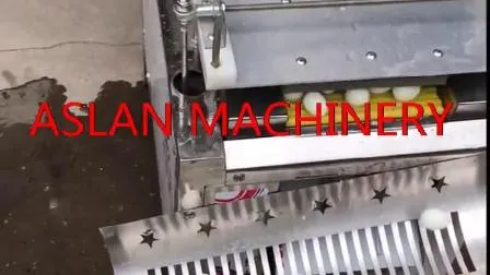 ゆでたウズラの皮むき屋 +86 17335571519